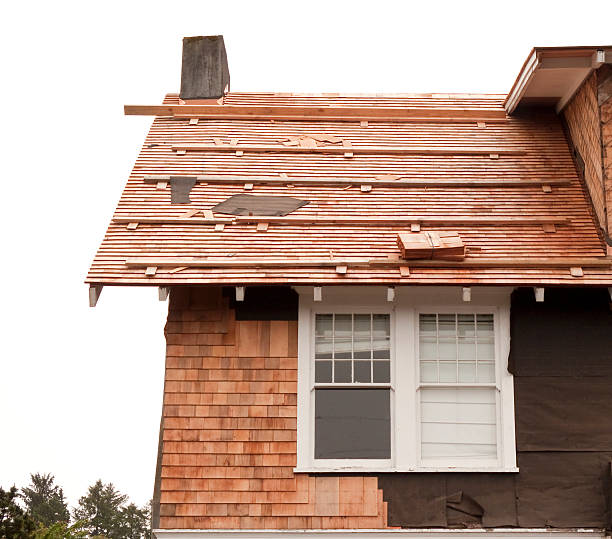 Best Storm Damage Siding Repair  in Talluh, LA